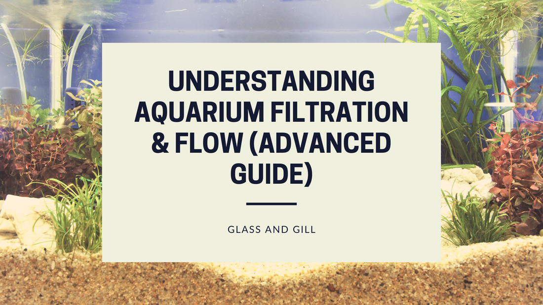 Understanding Aquarium Filtration & Flow (Advanced Guide)
