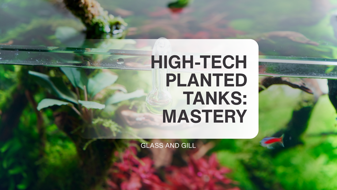 High-Tech Planted Tanks