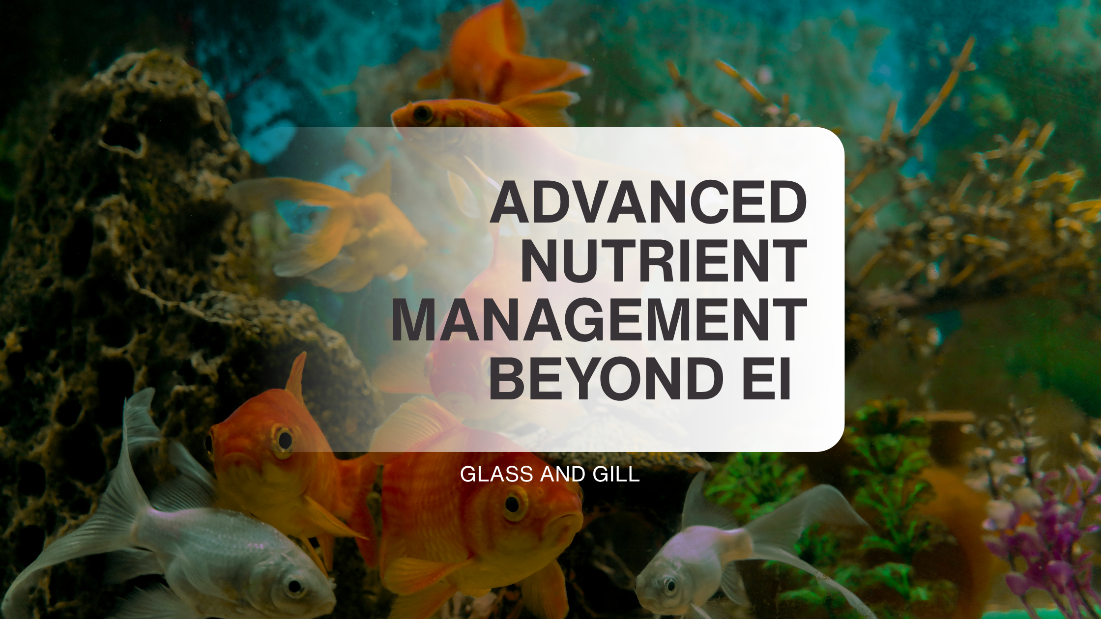 Advanced Nutrient Management: Beyond EI and Into Precision Control