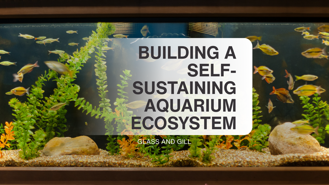 Building a Self-Sustaining Aquarium Ecosystem: Balance Beyond Maintenance