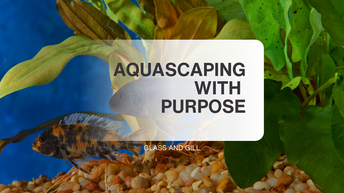 Aquascaping with Purpose