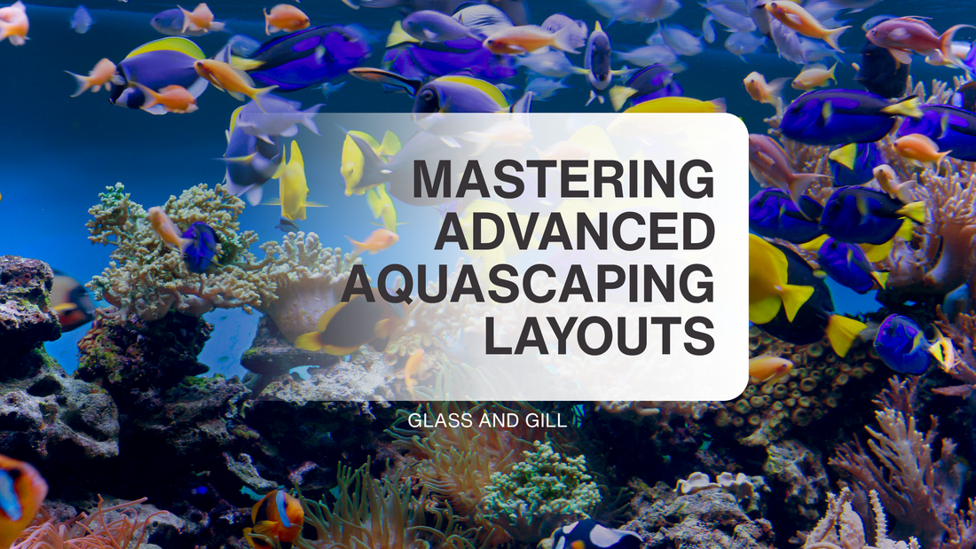 Mastering Advanced Aqua Scaping Layouts