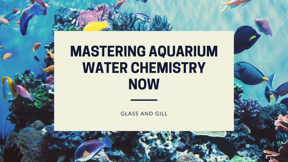 Mastering Aquarium Water Chemistry (Beyond the Basics)