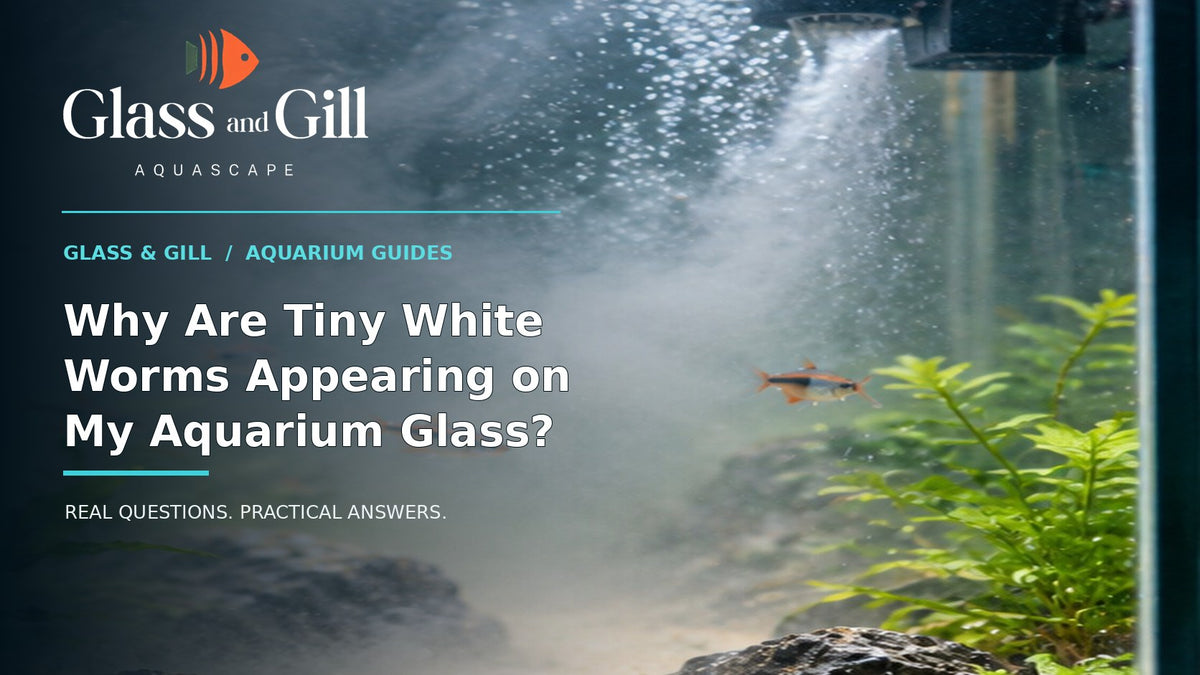 Glass and Gill guide cover for article 9