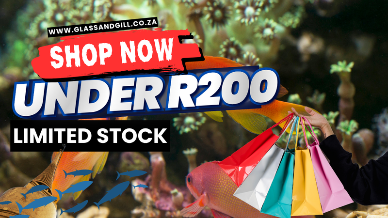 Under R200