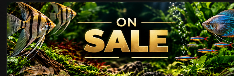 Glass & Gill On Sale — Shop All