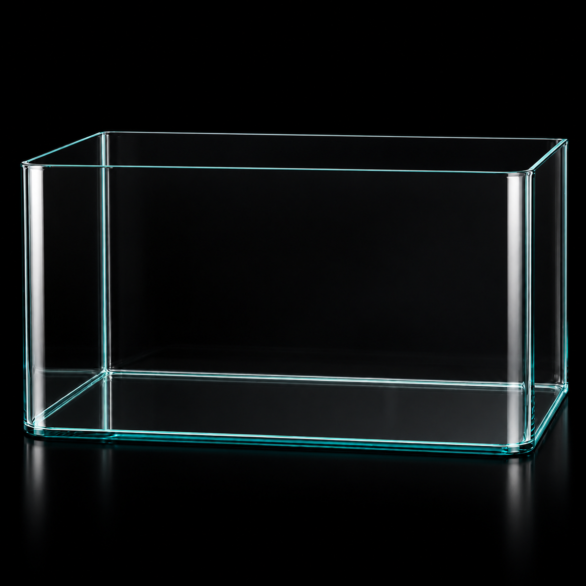 Curved glass open-top aquarium on black background, illustrative image